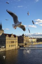 Prague, Czech Republic- 2014