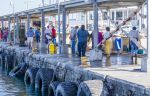 Kalk Bay, Cape Town, South Africa- 2015