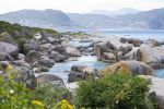 Boulders Beach, Cape Town, South Africa- 2015