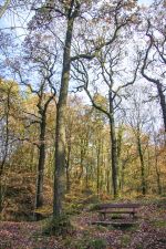 Lake District, UK- 2014