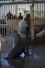 Kalk Bay Harbour, Cape Town, South Africa- 2015