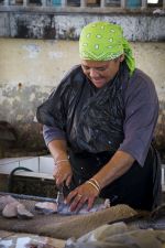 Kalk Bay Fish Market, Cape Town, South Africa- 2016
